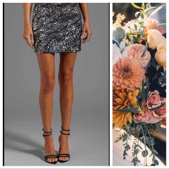 Haute Hippie Dresses & Skirts - Haute Hippie Caviar Sequin Zebra Mini Medium New!